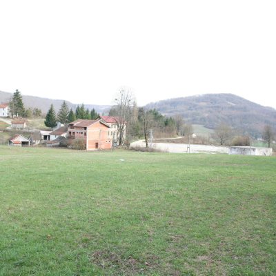 Gralis Bild