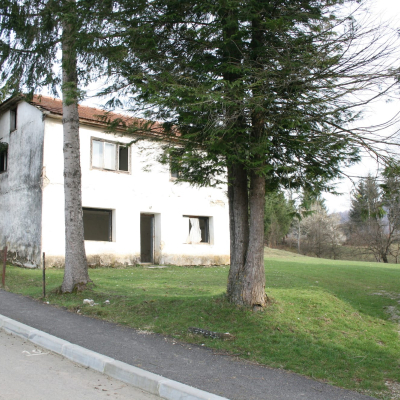 Gralis Bild