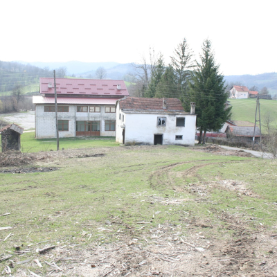 Gralis Bild