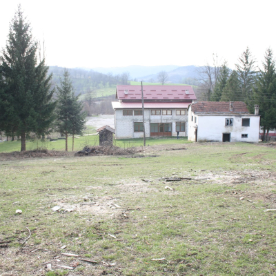 Gralis Bild