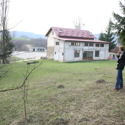 Gralis Bild