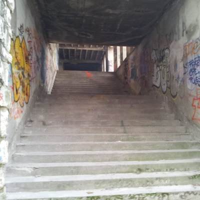 Gralis Bild