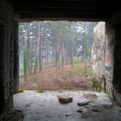 Gralis Bild