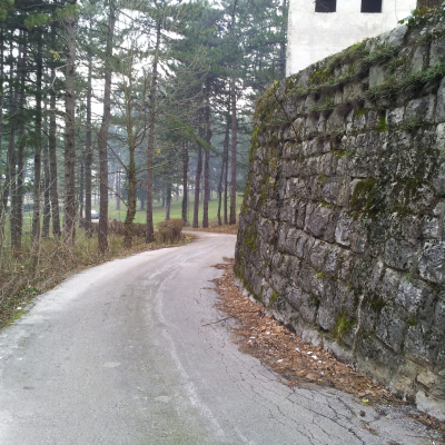 Gralis Bild