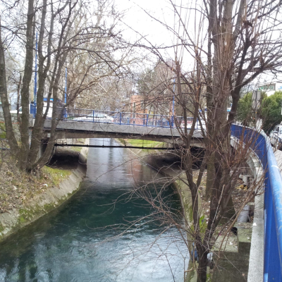 Gralis Bild