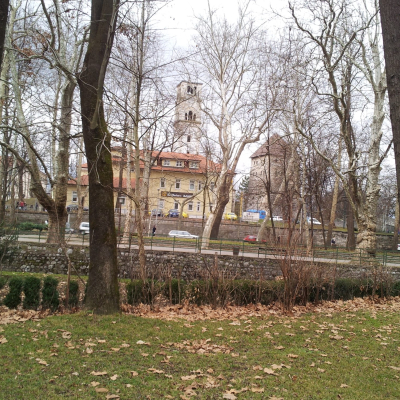 Gralis Bild