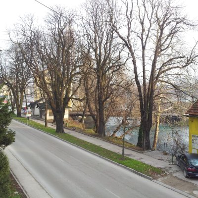 Gralis Bild