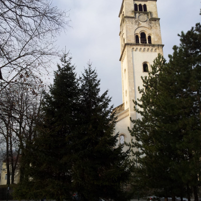 Gralis Bild
