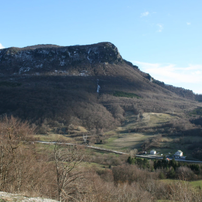 Gralis Bild