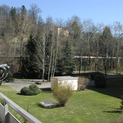 Gralis Bild