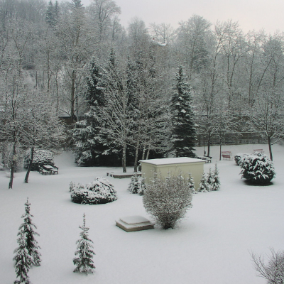 Gralis Bild