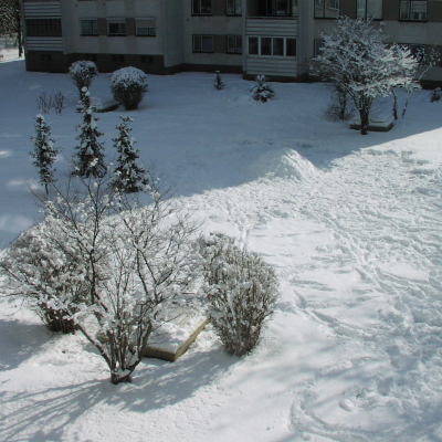 Gralis Bild