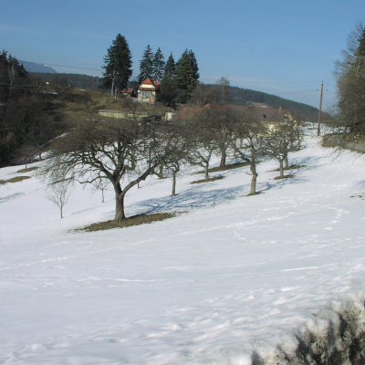Gralis Bild