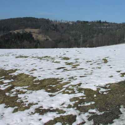 Gralis Bild