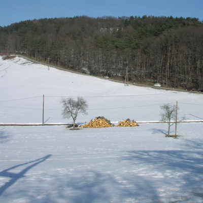 Gralis Bild