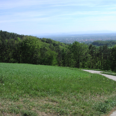 Gralis Bild