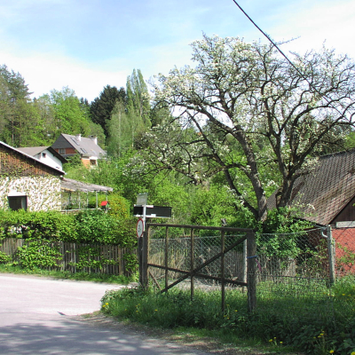 Gralis Bild