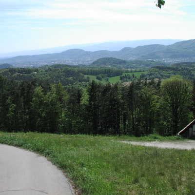 Gralis Bild