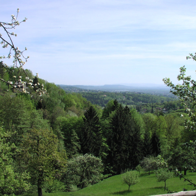 Gralis Bild