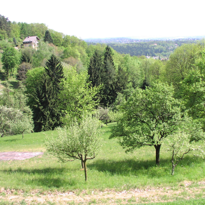 Gralis Bild