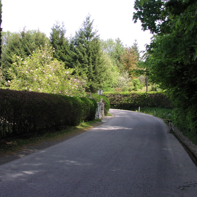 Gralis Bild