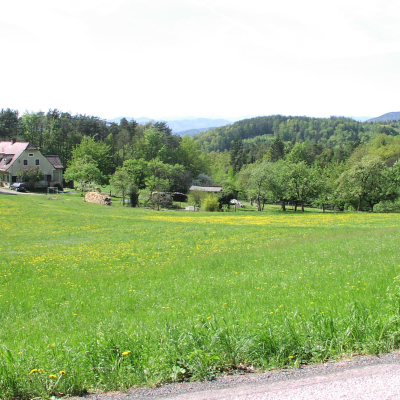Gralis Bild