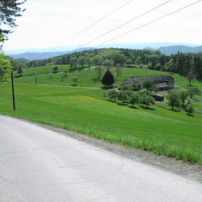 Gralis Bild