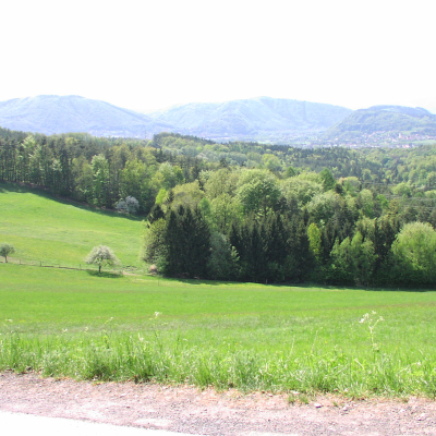 Gralis Bild