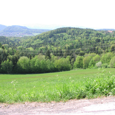 Gralis Bild
