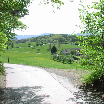 Gralis Bild