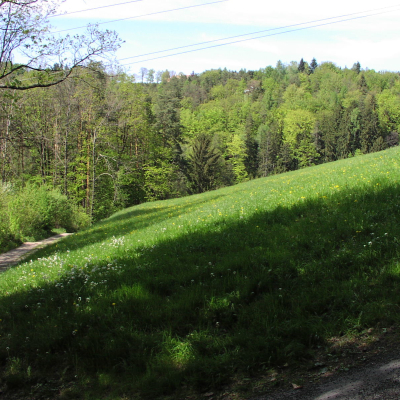 Gralis Bild