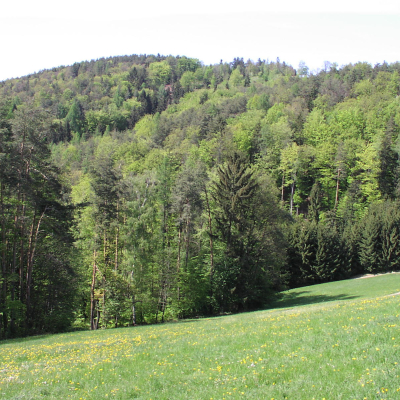Gralis Bild