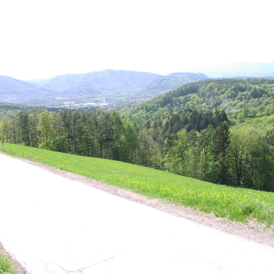 Gralis Bild