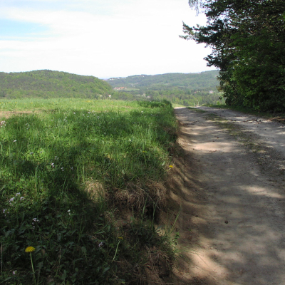 Gralis Bild