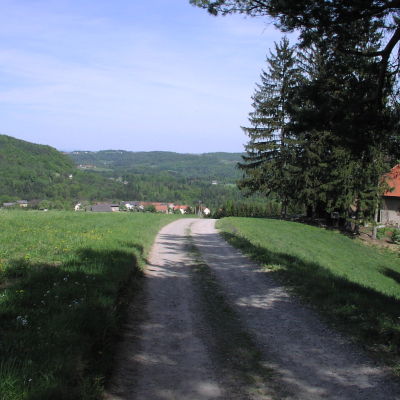 Gralis Bild