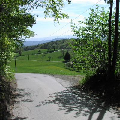 Gralis Bild