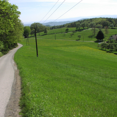 Gralis Bild