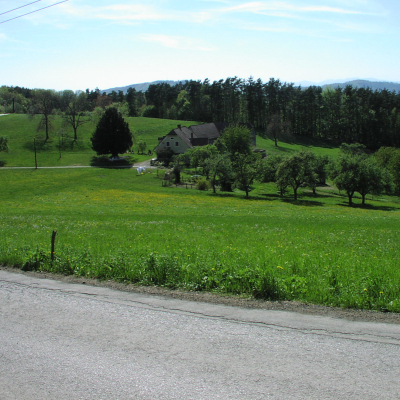 Gralis Bild