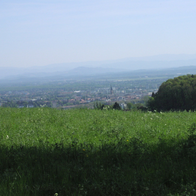 Gralis Bild