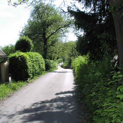 Gralis Bild