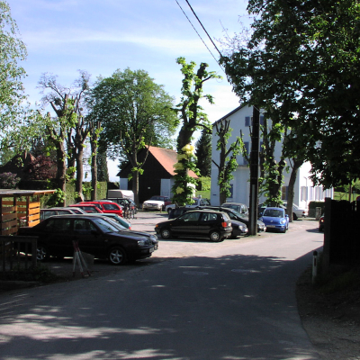 Gralis Bild