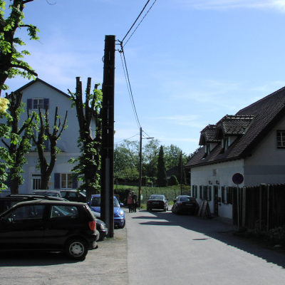 Gralis Bild