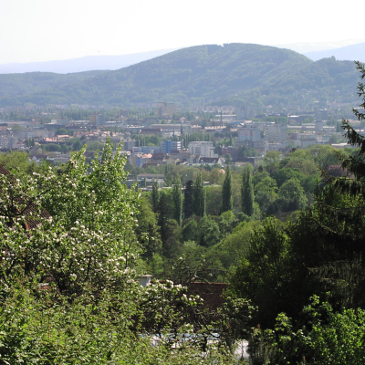 Gralis Bild