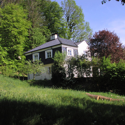 Gralis Bild