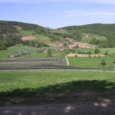 Gralis Bild