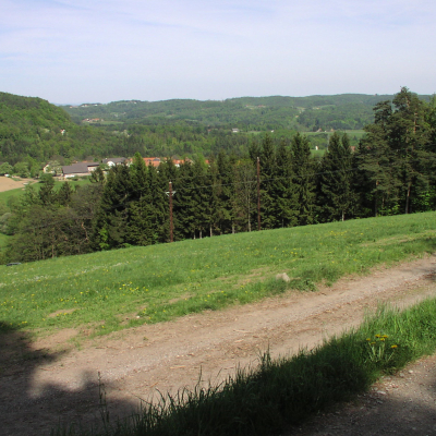 Gralis Bild
