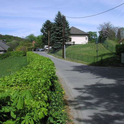 Gralis Bild