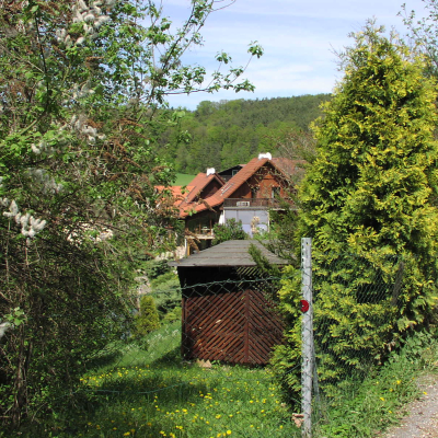 Gralis Bild