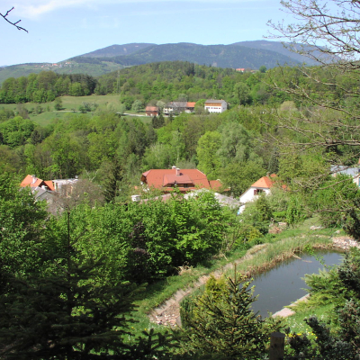 Gralis Bild
