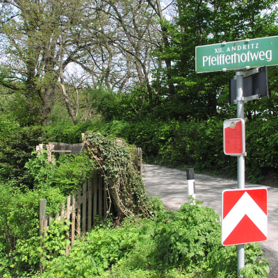 Gralis Bild